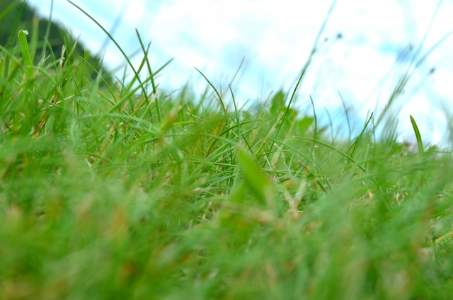 ヨガの体操　どうやってやる？