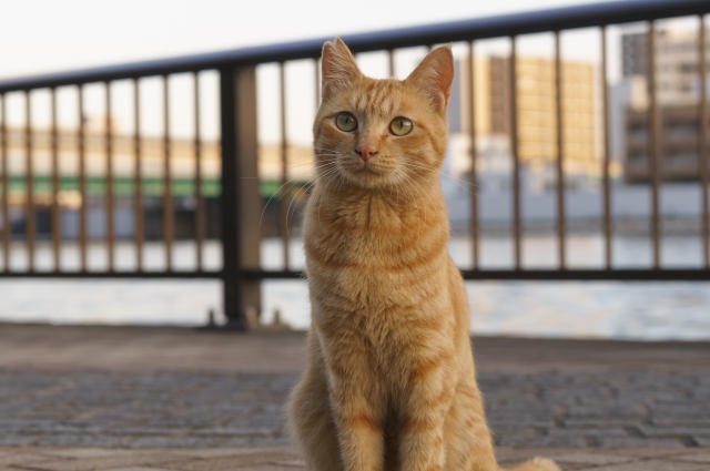 何やってんの？