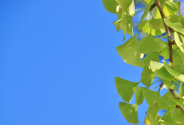 いつもと違うルート