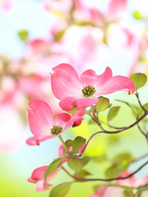 どんなときでも